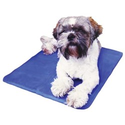 pdsa chillax cool dog sleeping pad.jpg